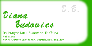 diana budovics business card